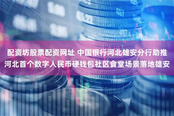 配资坊股票配资网址 中国银行河北雄安分行助推河北首个数字人民币硬钱包社区食堂场景落地雄安
