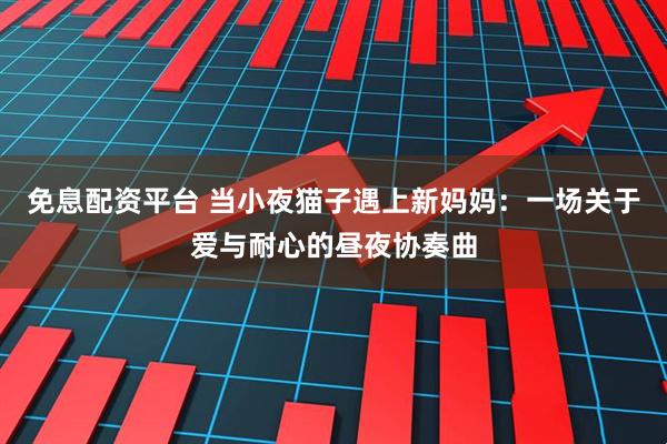 免息配资平台 当小夜猫子遇上新妈妈：一场关于爱与耐心的昼夜协奏曲