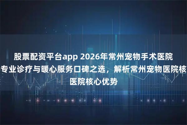 股票配资平台app 2026年常州宠物手术医院推荐：专业诊疗与暖心服务口碑之选，解析常州宠物医院核心优势